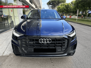 2018  Audi Q8 Mild Hybrid 3.0A TFSI Quattro Tip